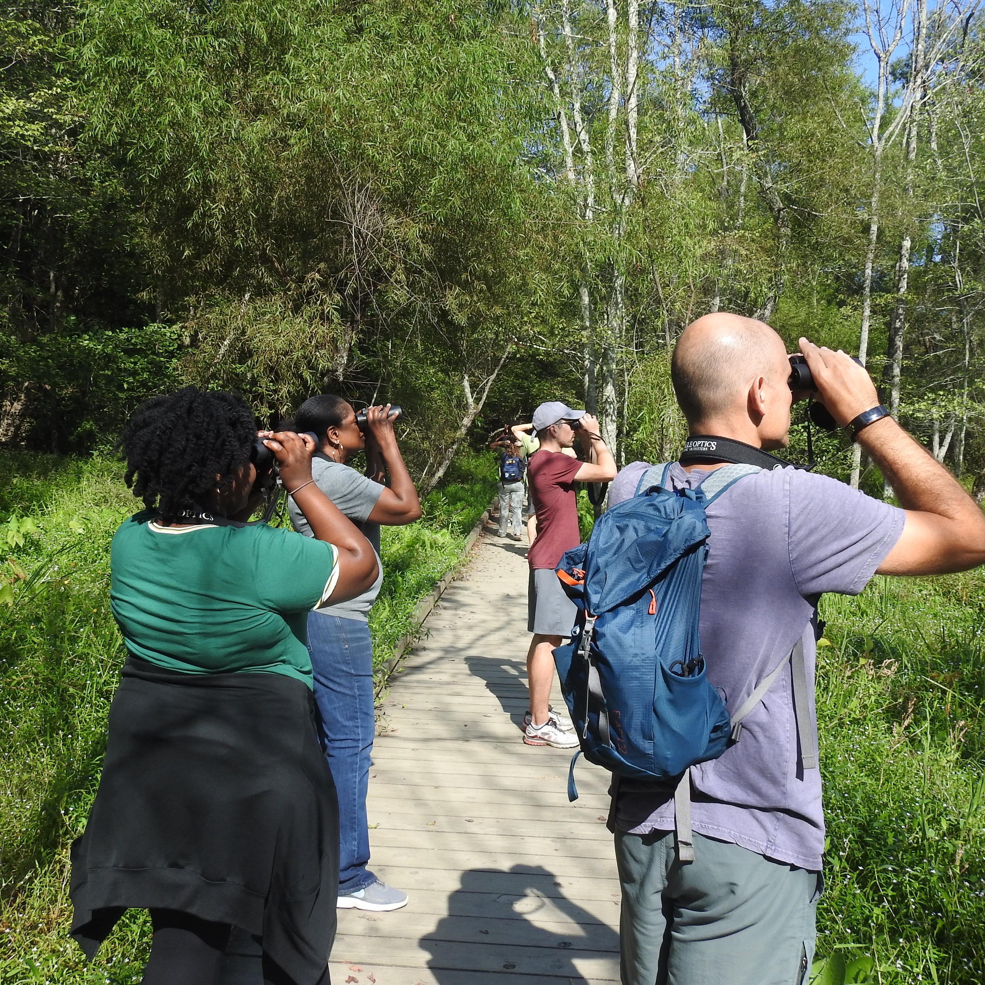 Photo 1 from Georgia Audubon