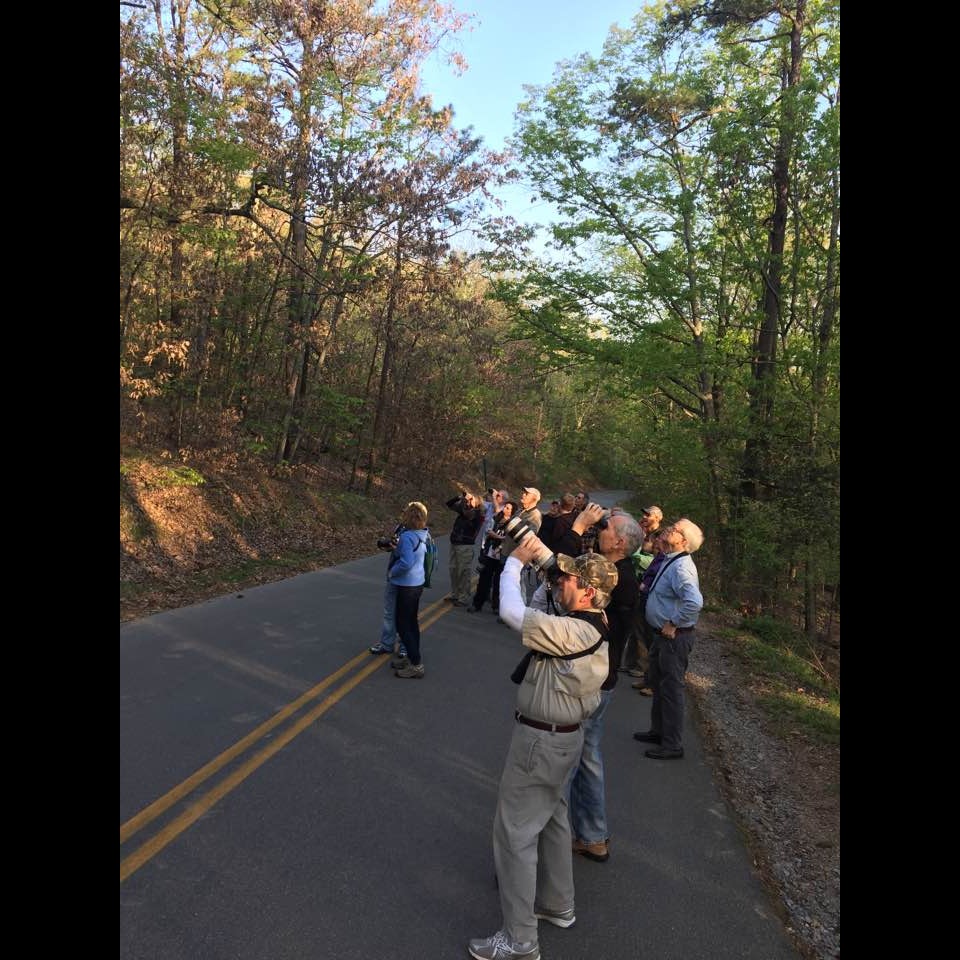 Photo 5 from Georgia Audubon