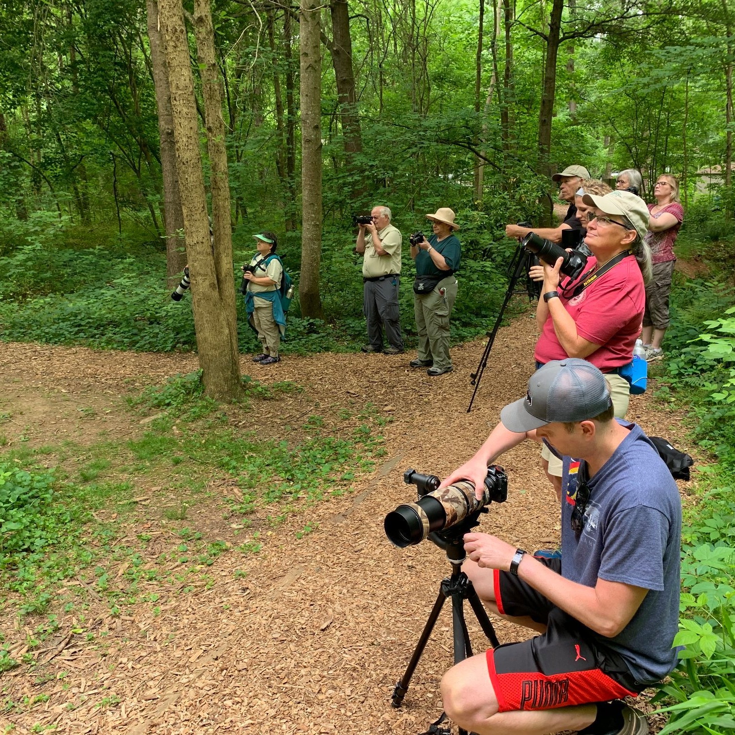 Photo 9 from Georgia Audubon