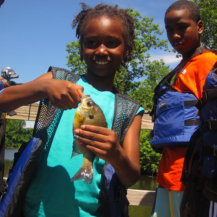 Photo 4 from Blue Sky Fund