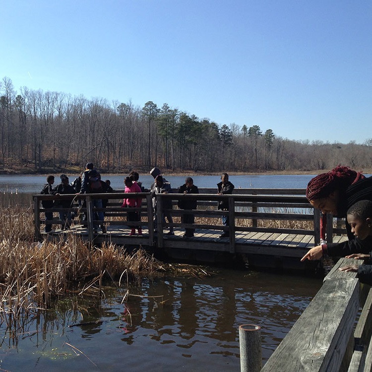 Photo 5 from Blue Sky Fund