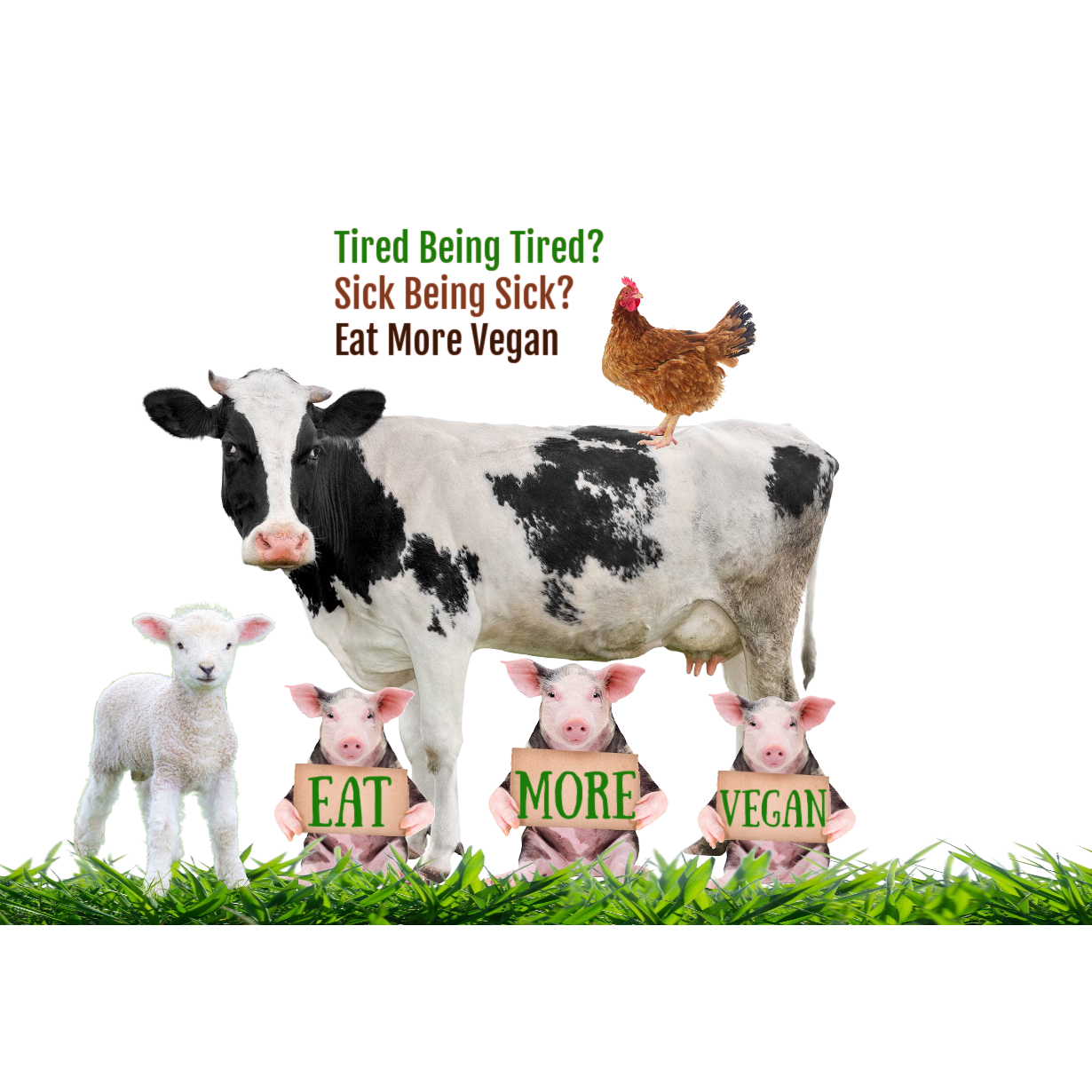 Photo 7 from Green Pets America Charities: Operating as AHIMSA HUMANE SOCIETY