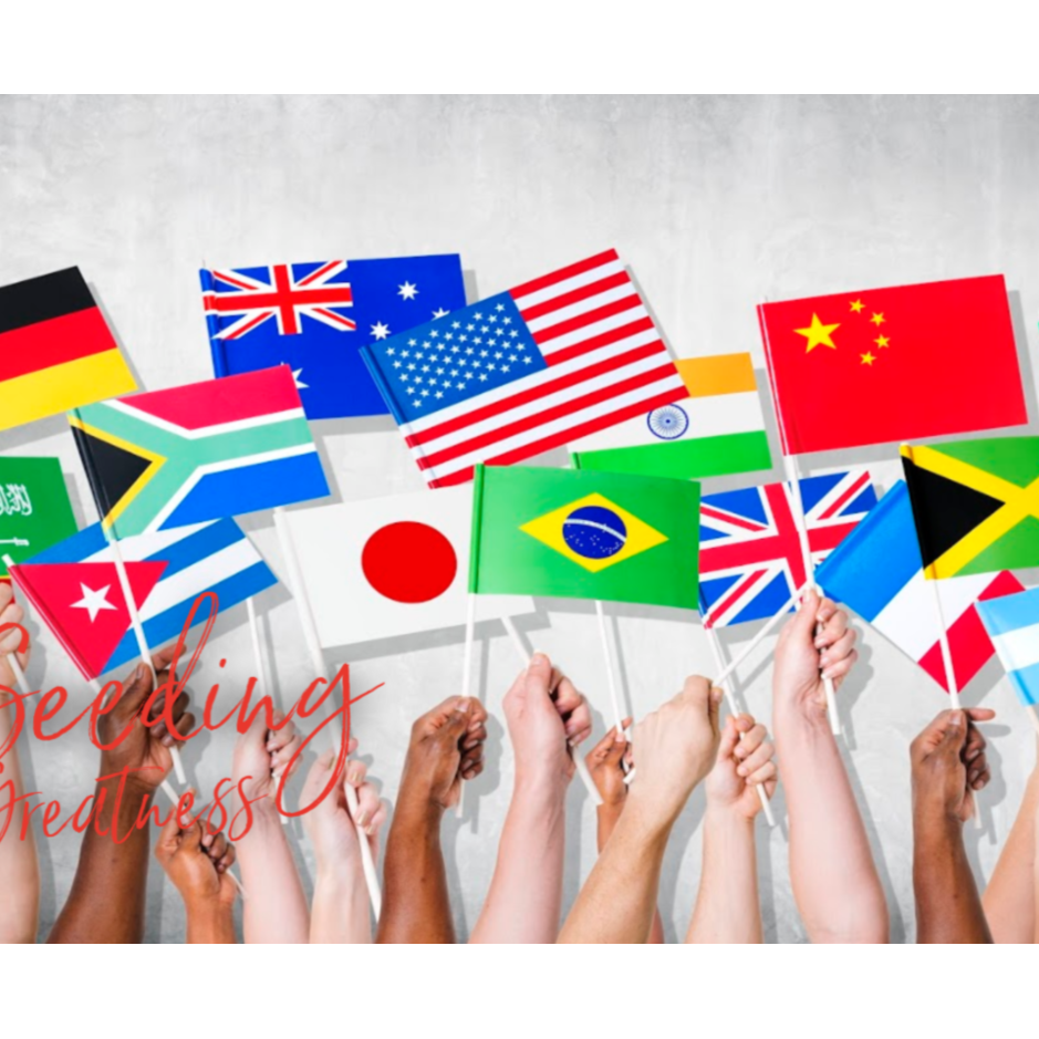 Photo 9 from Green Pets America Charities: Operating as AHIMSA HUMANE SOCIETY