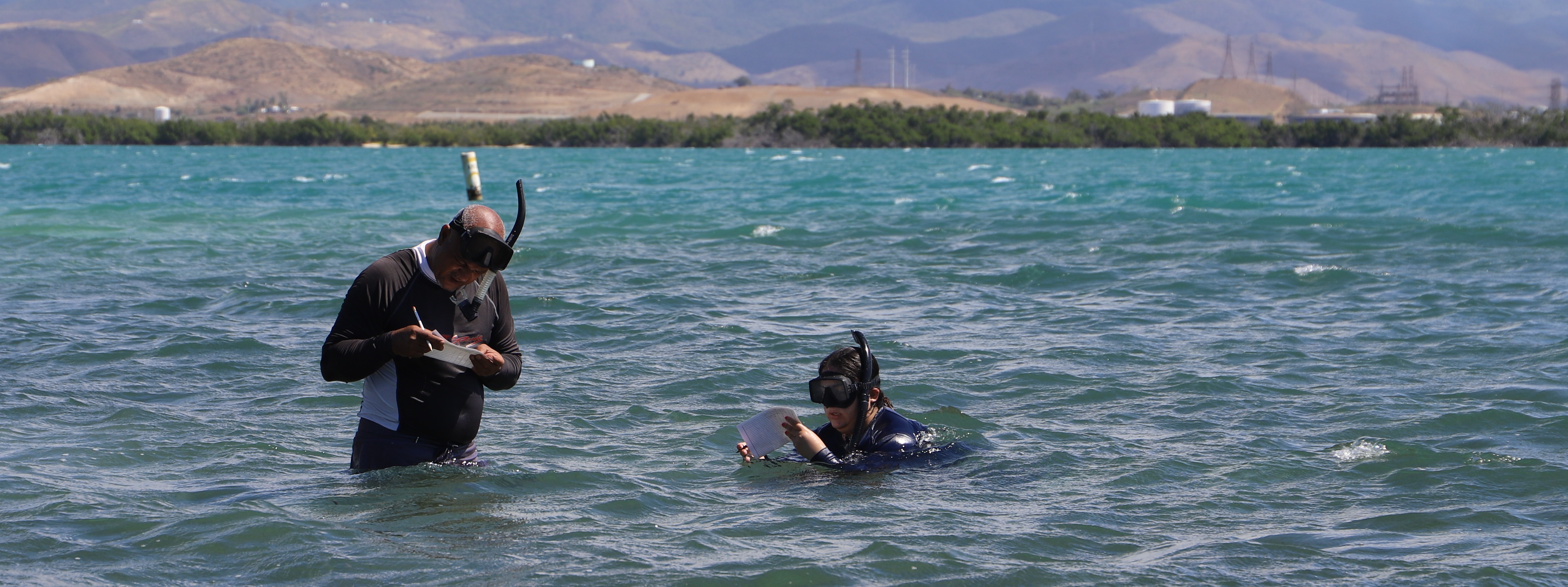 The Ocean Foundation