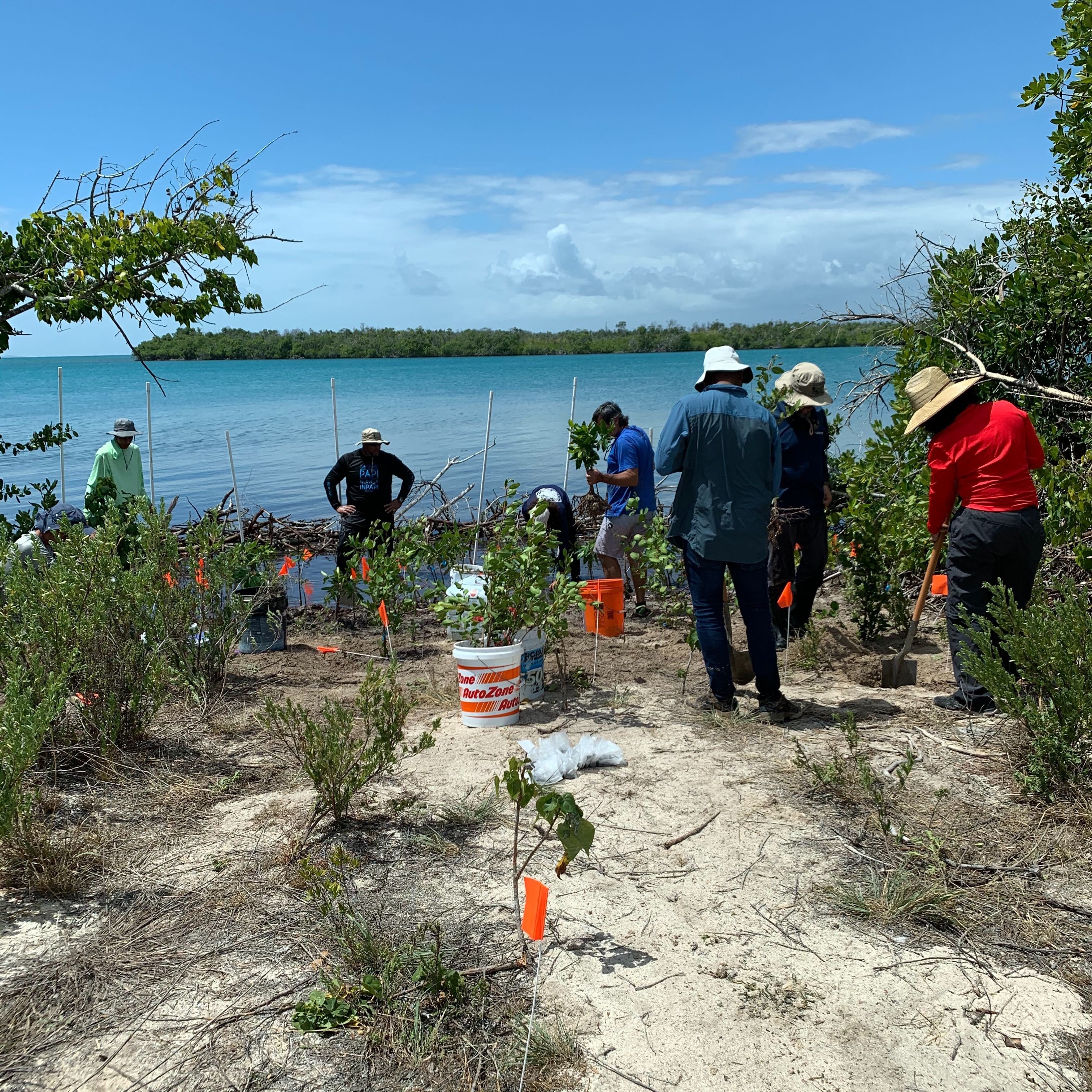 Photo 2 from The Ocean Foundation