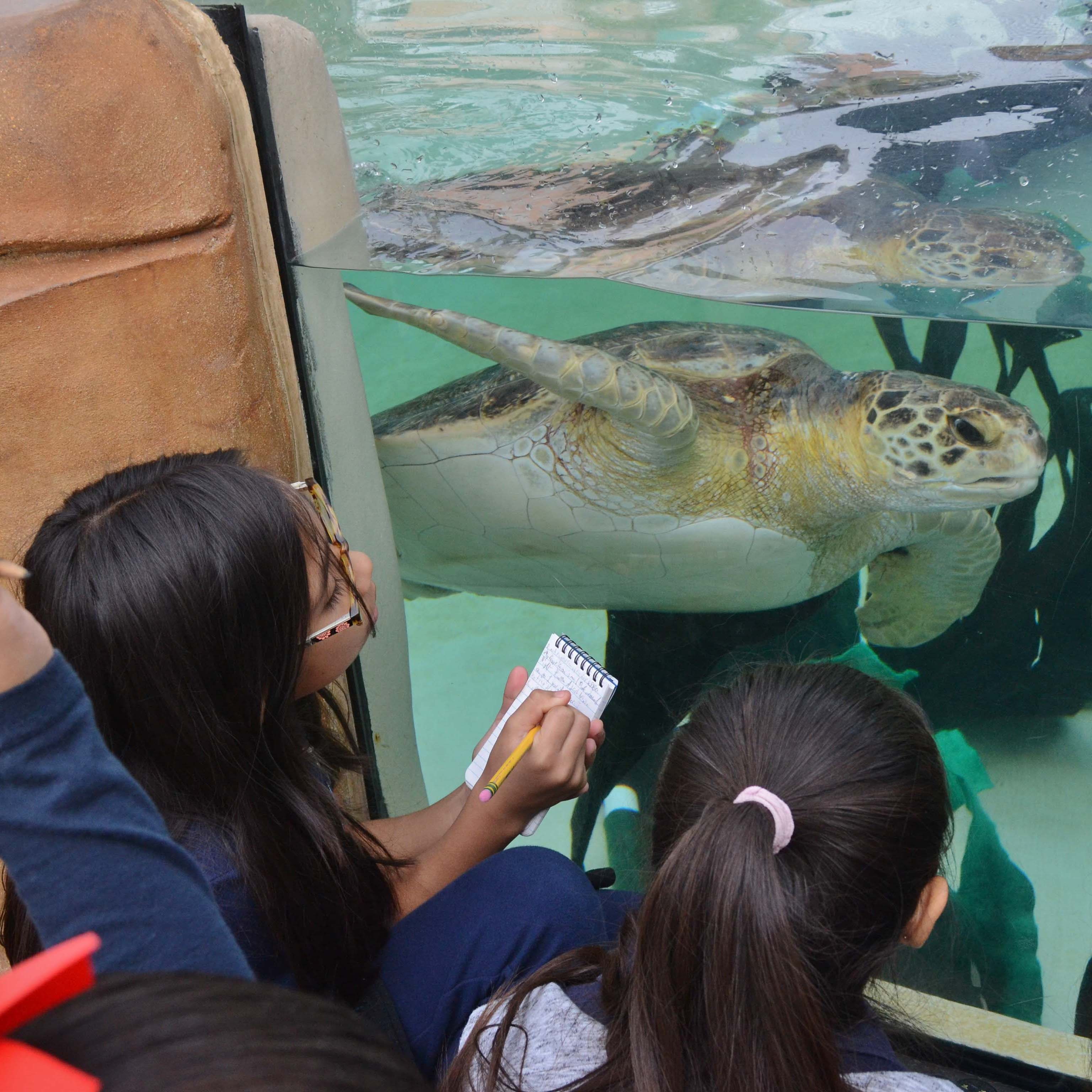 Photo 9 from The Ocean Foundation