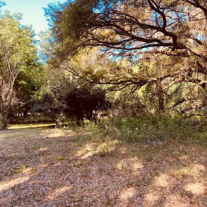 Photo 4 from Saved By Grace Ministries