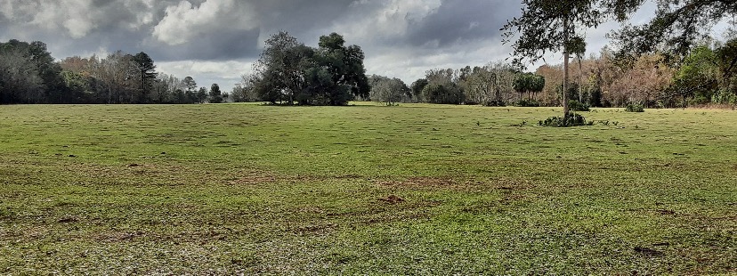 Saved By Grace Ministries cover