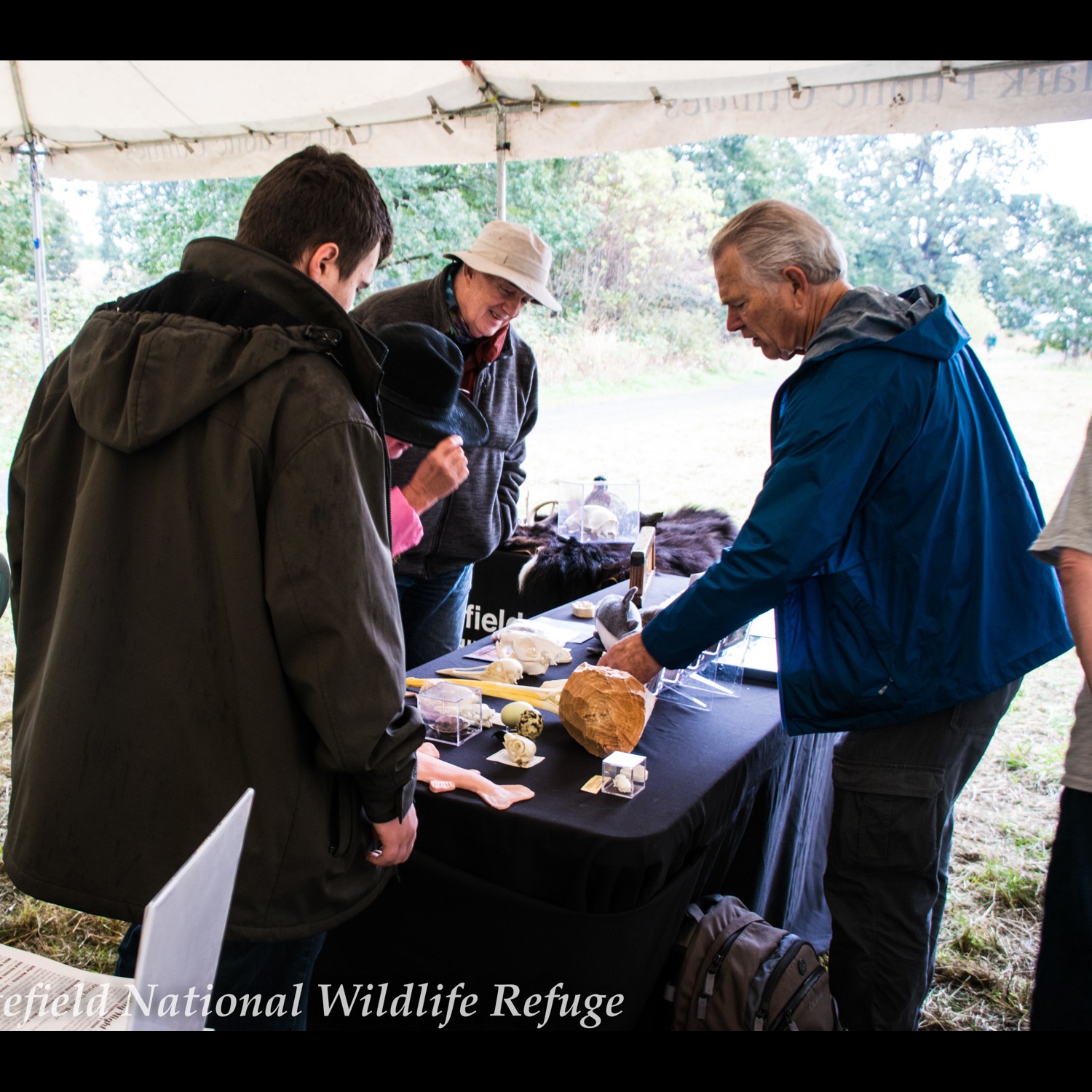 Photo 1 from Friends of Ridgefield National Wildlife Refuge