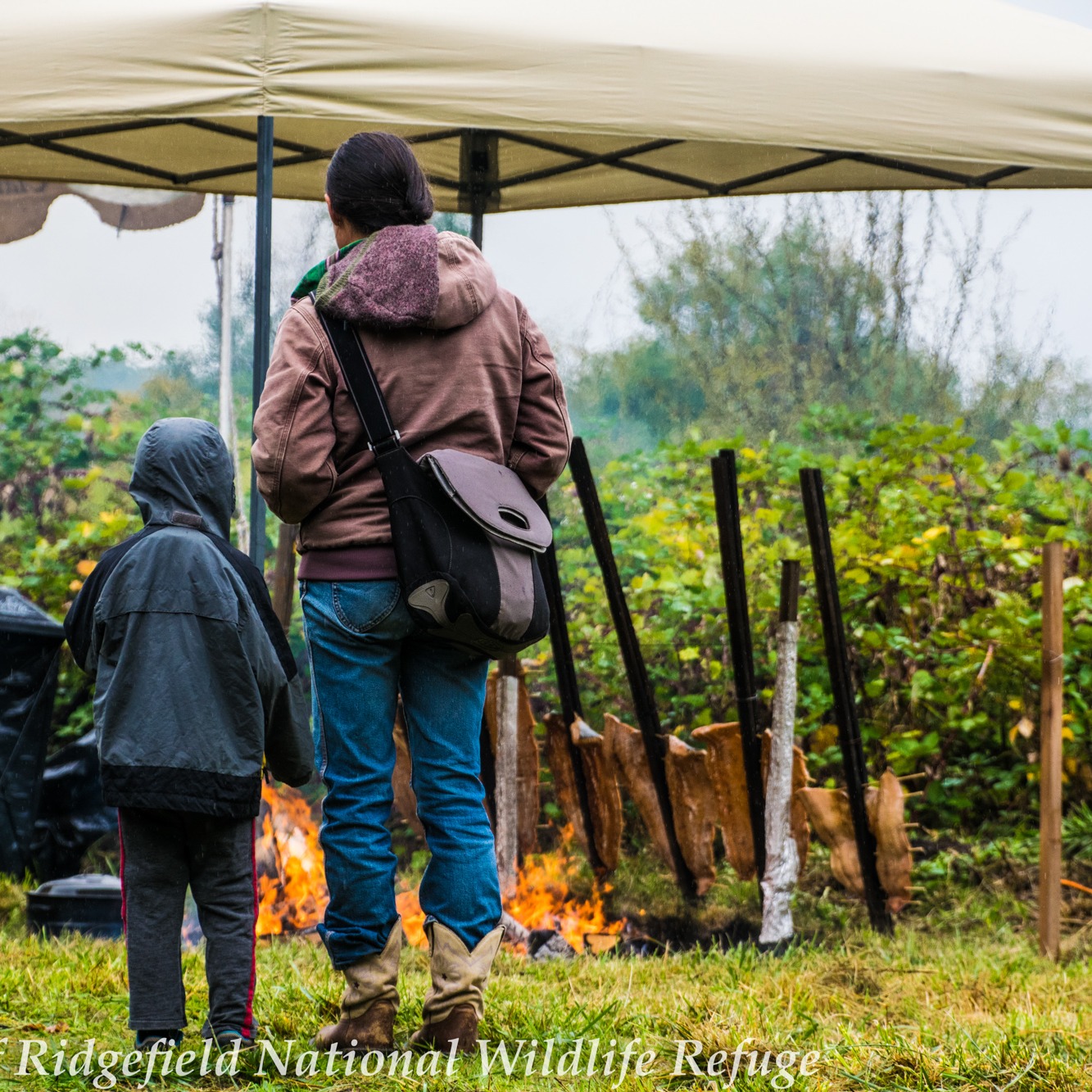 Photo 2 from Friends of Ridgefield National Wildlife Refuge