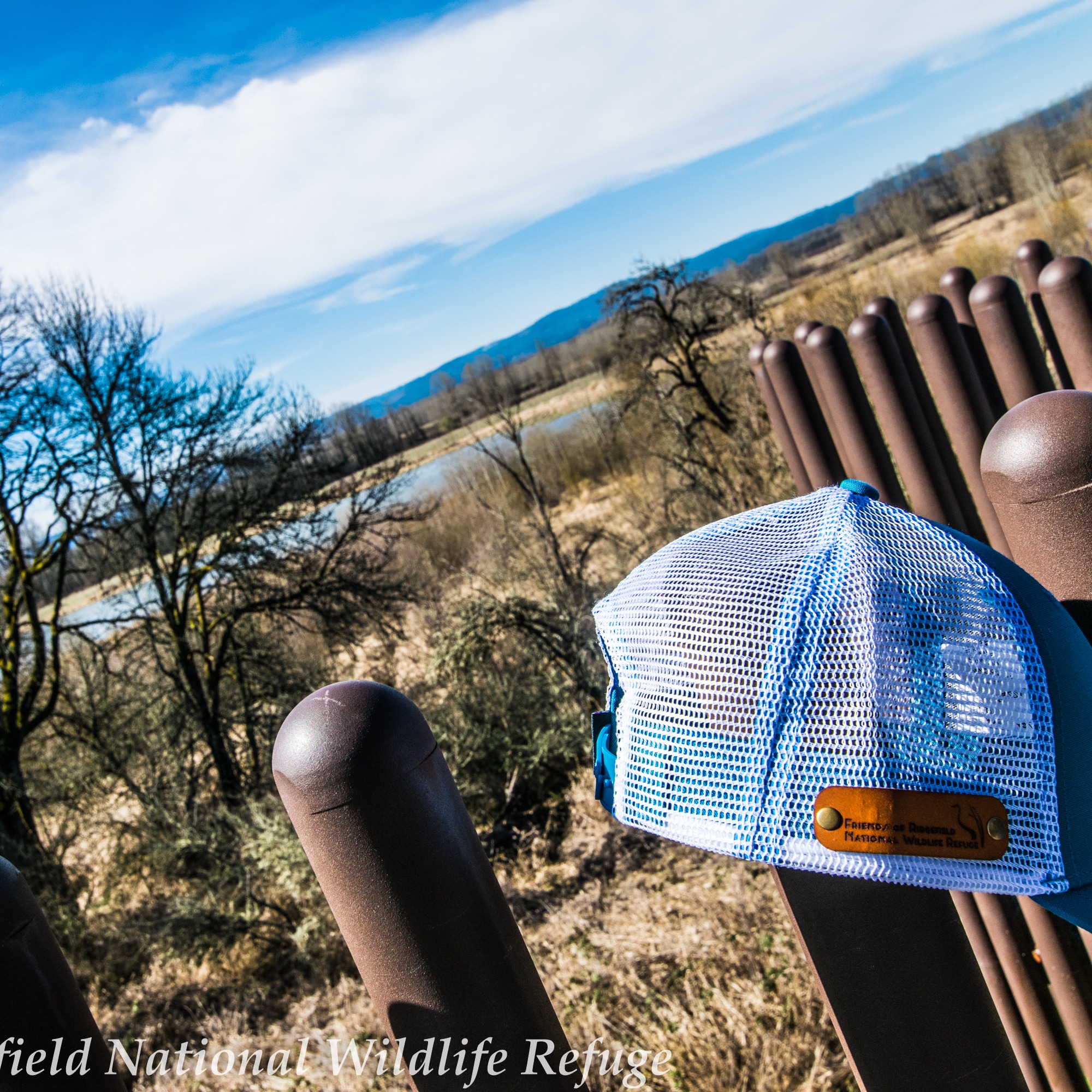 Photo 4 from Friends of Ridgefield National Wildlife Refuge