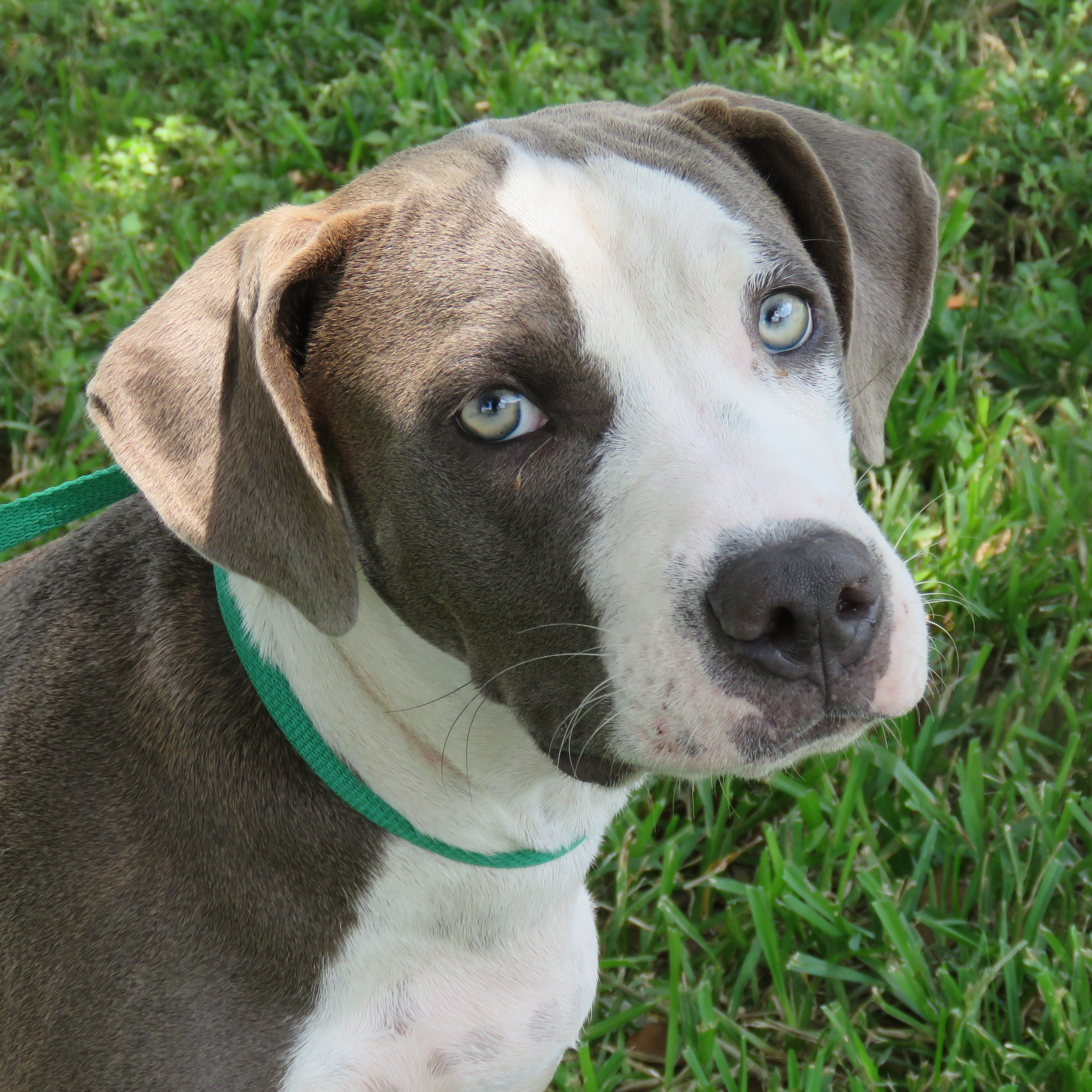 Photo 1 from SPECIAL PALS