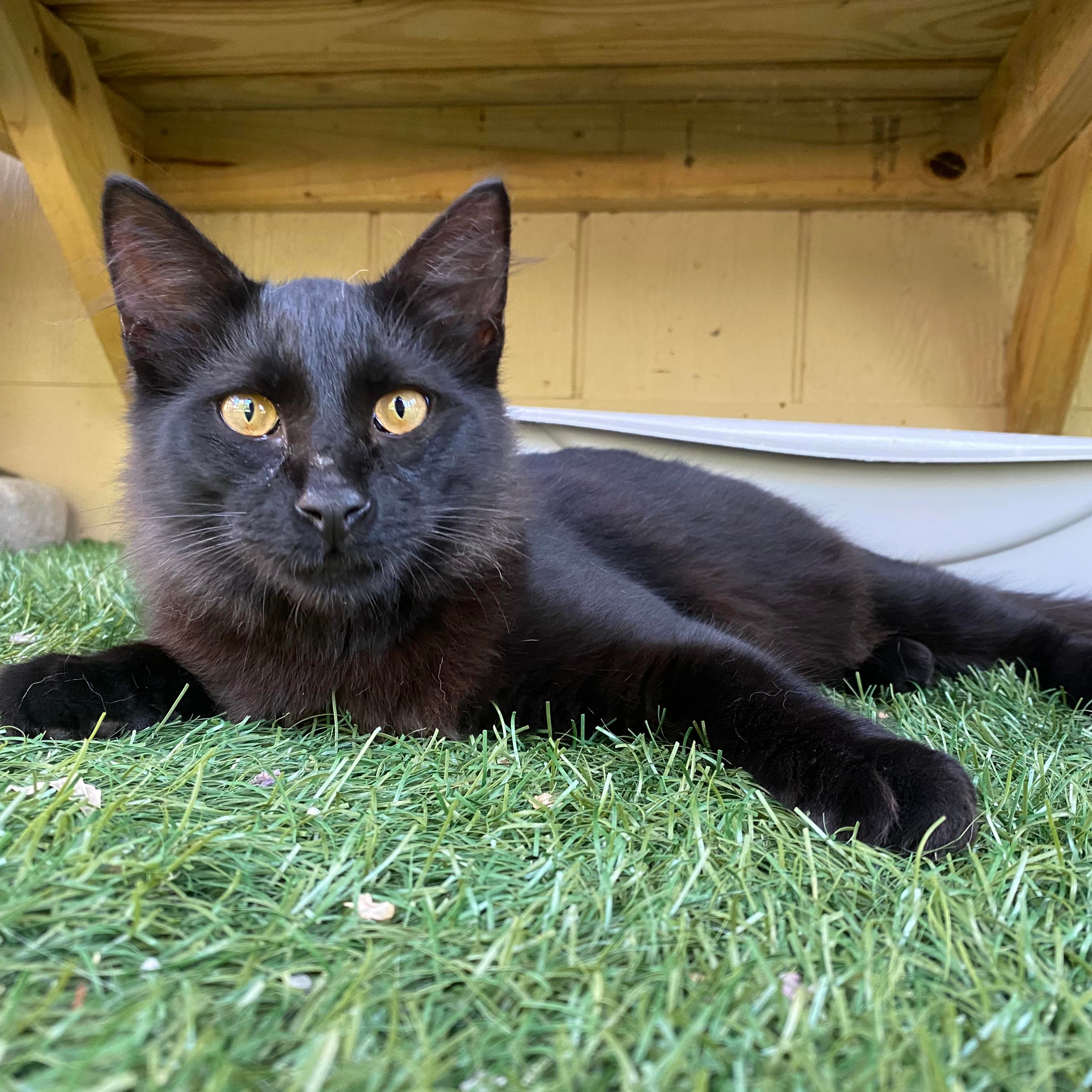 Photo 2 from SPECIAL PALS