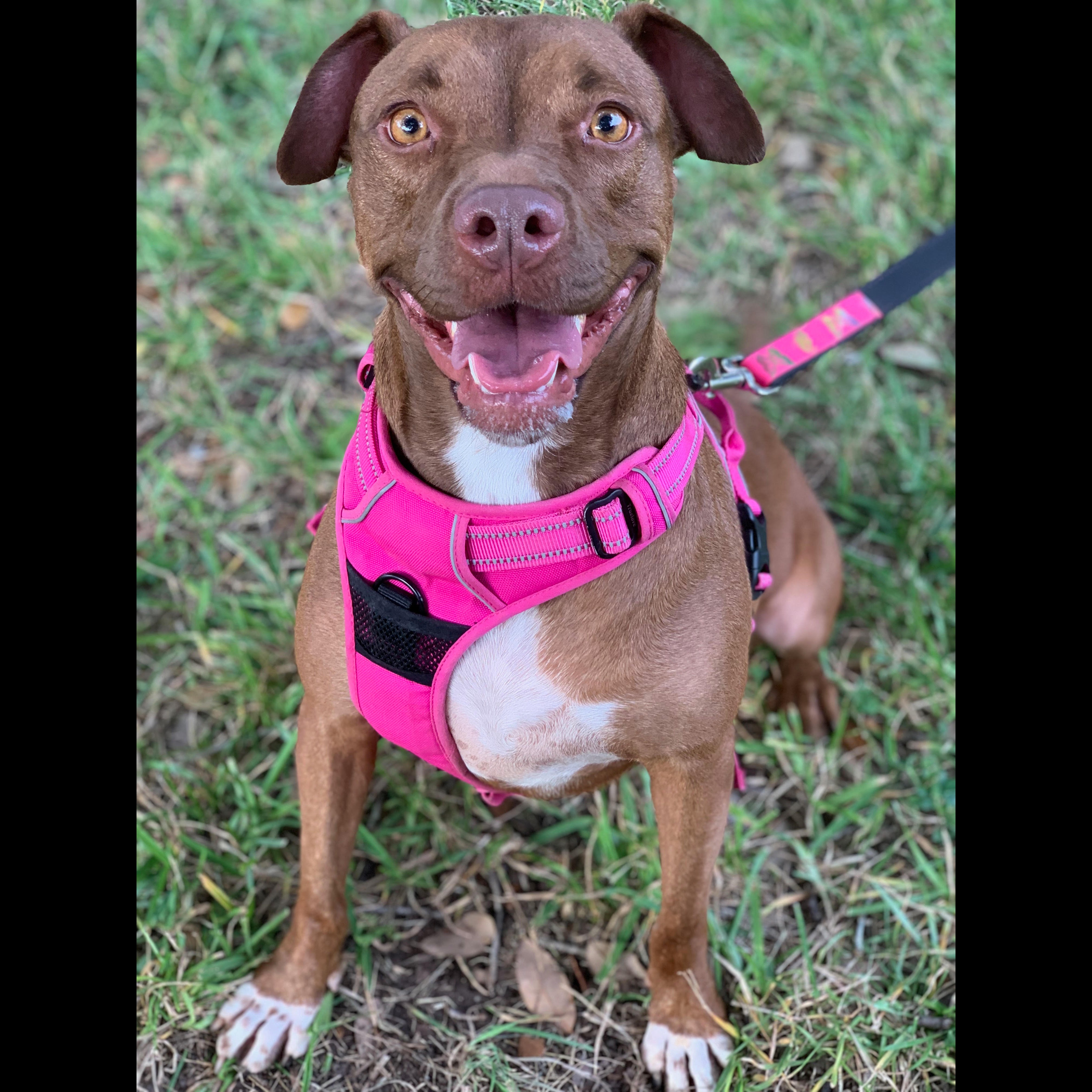 Photo 3 from SPECIAL PALS