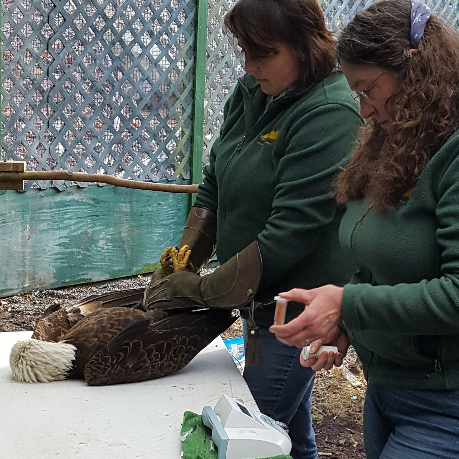 Photo 1 from Three Rivers Avian Center Inc.