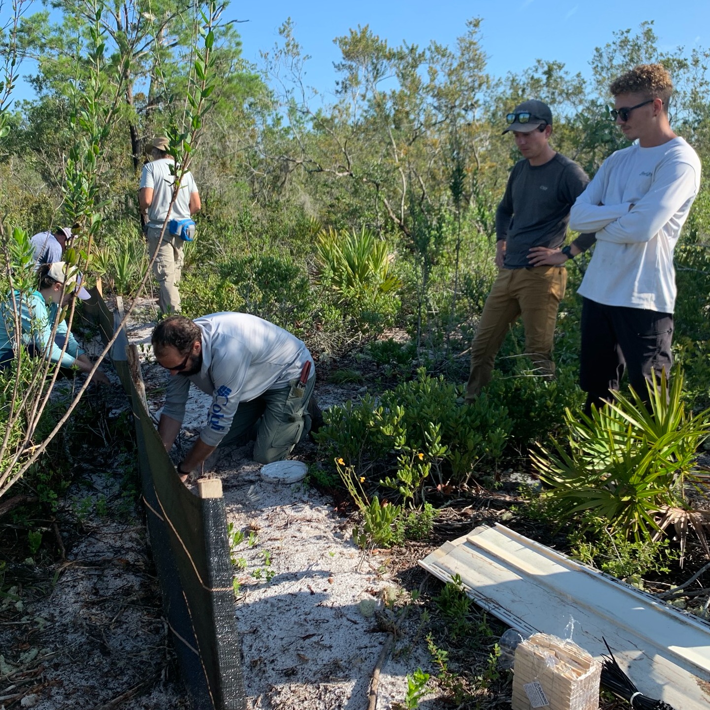 Photo 1 from WILDLANDS CONSERVATION INC