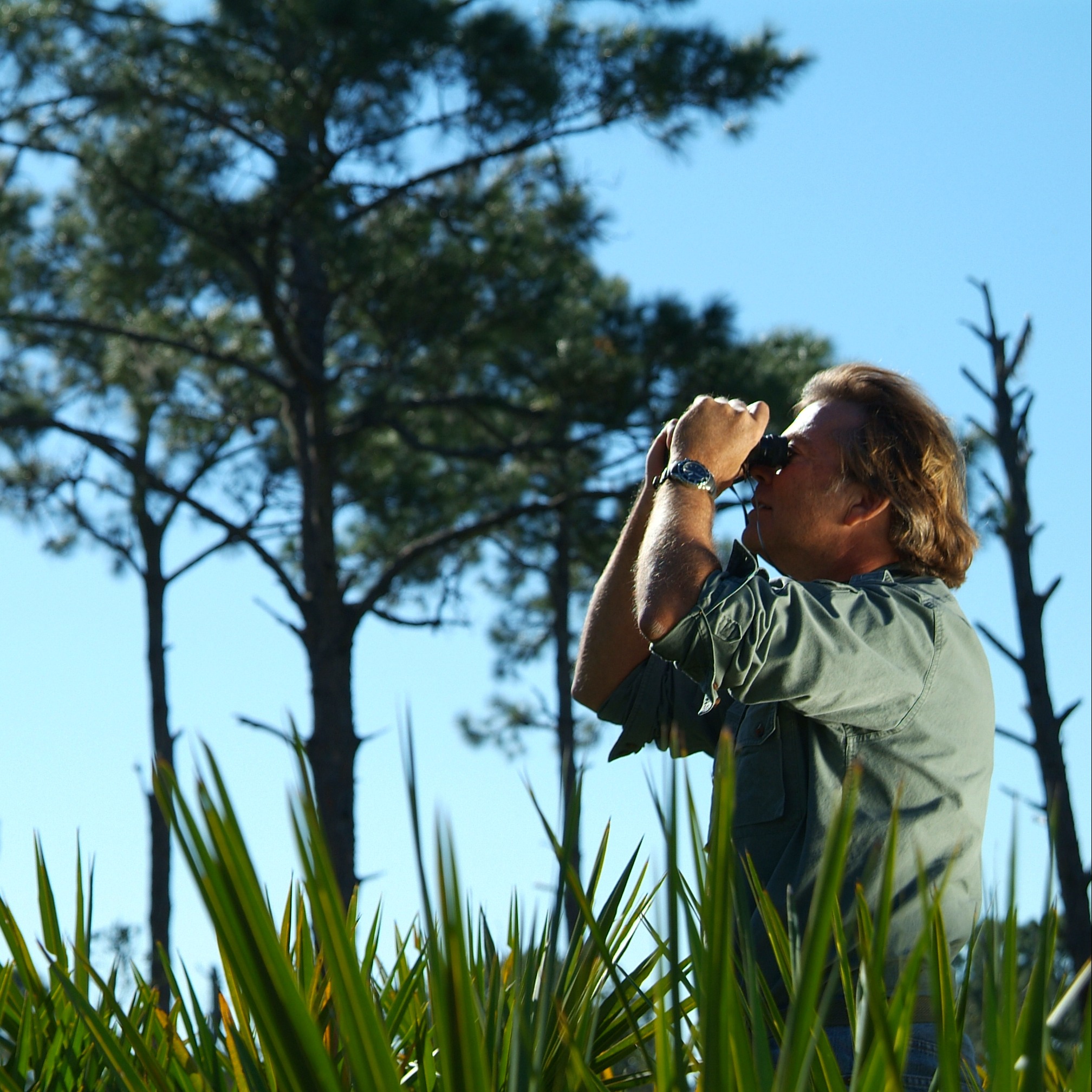 Photo 2 from WILDLANDS CONSERVATION INC