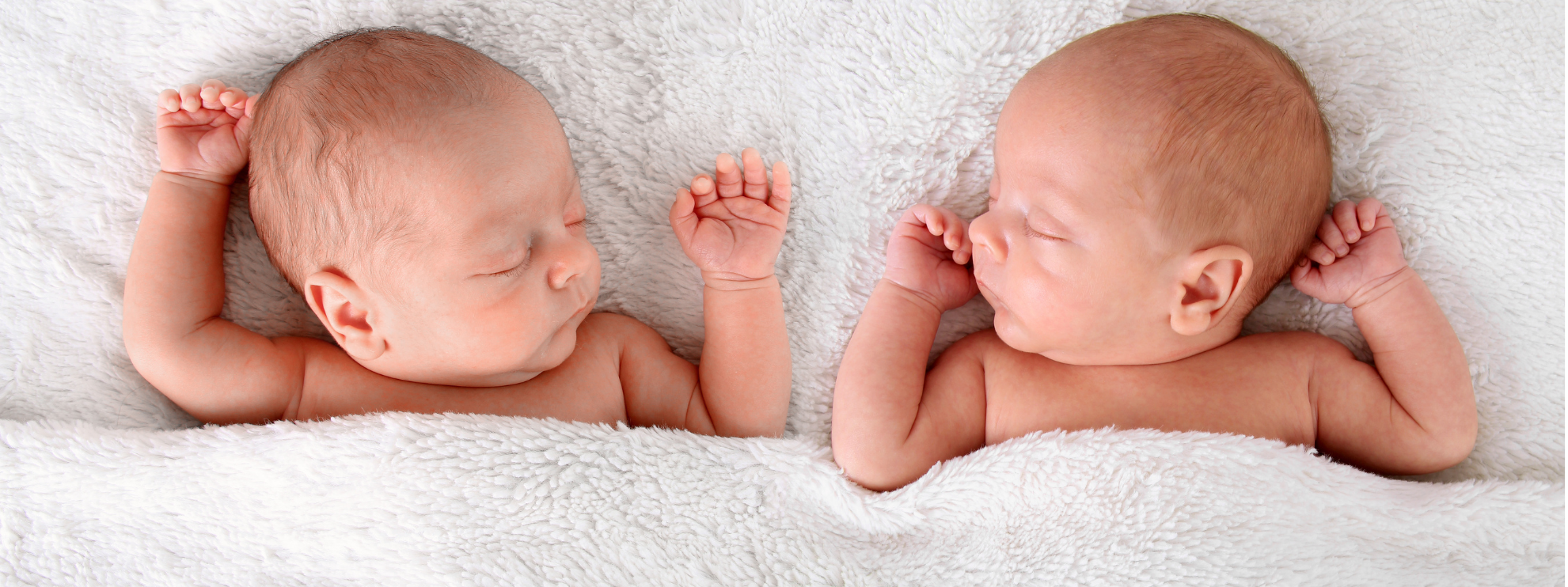 SANCTITY OF LIFE MINISTRIES