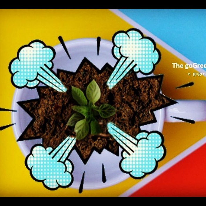 Photo 3 from FUNDACION GO GREEN TOY (FGGT)