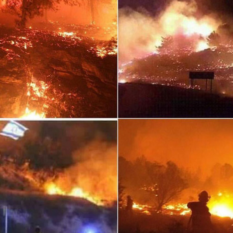 Photo 3 from HOPE FOR SDEROT INC