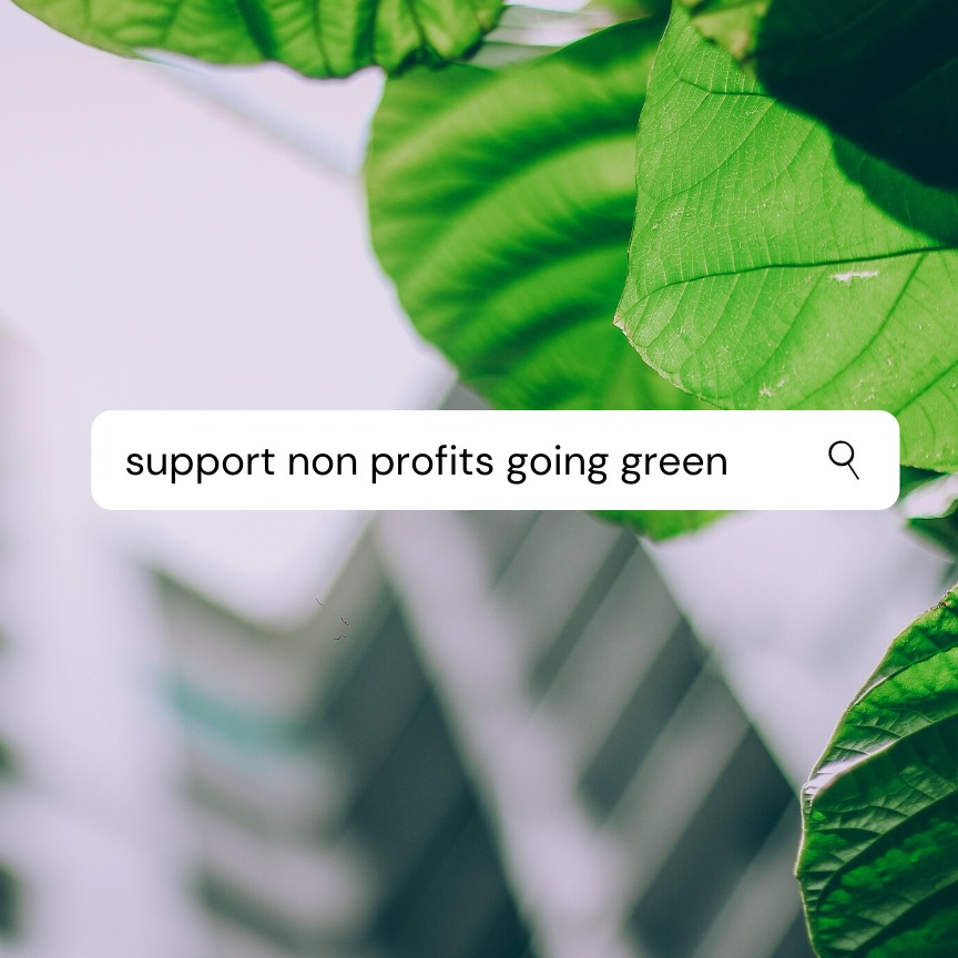 Photo 11 from Go Only Electric