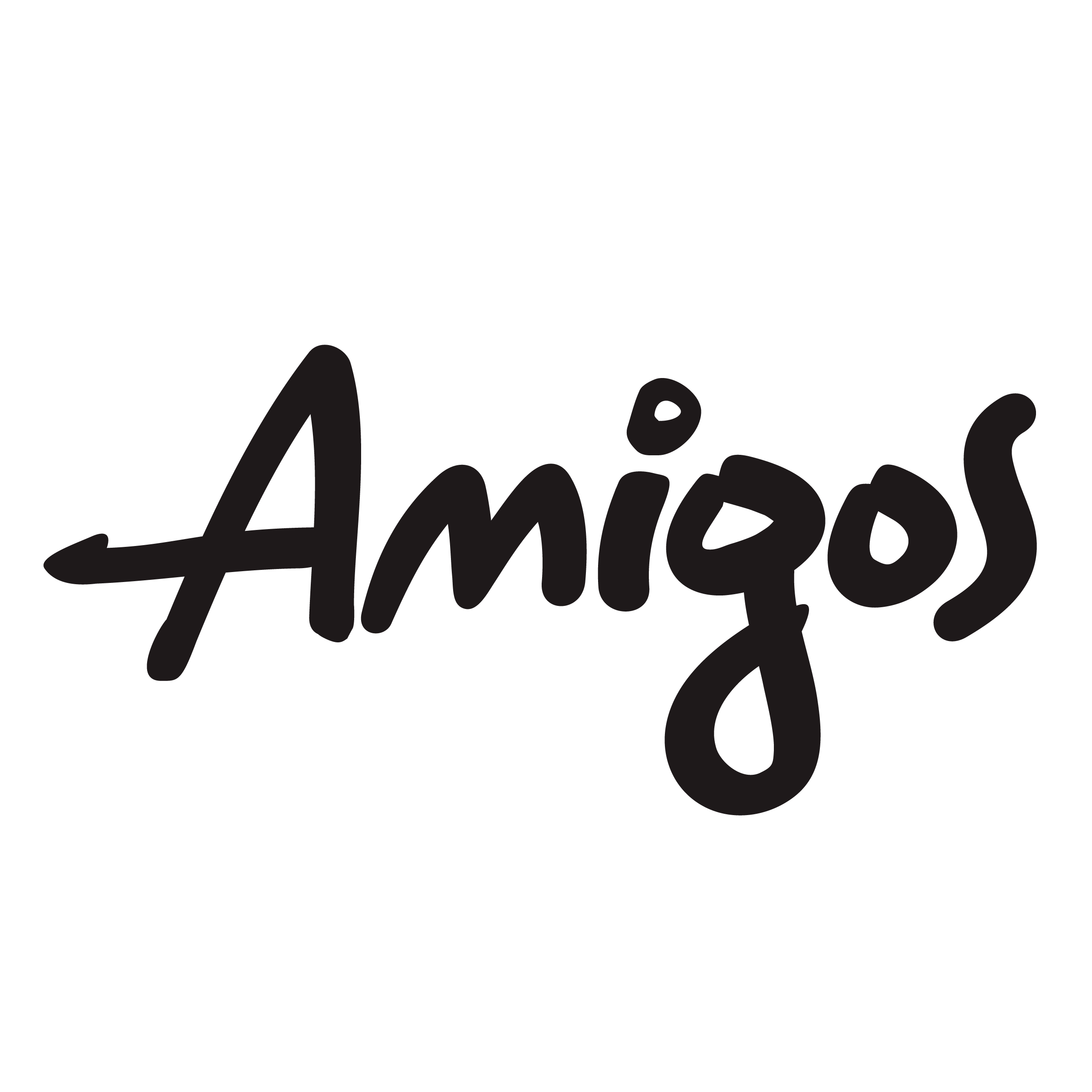 AMIGOS DE LAS AMERICAS