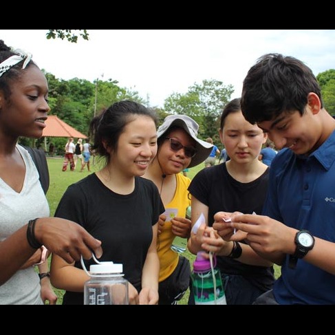 Photo 5 from AMIGOS DE LAS AMERICAS