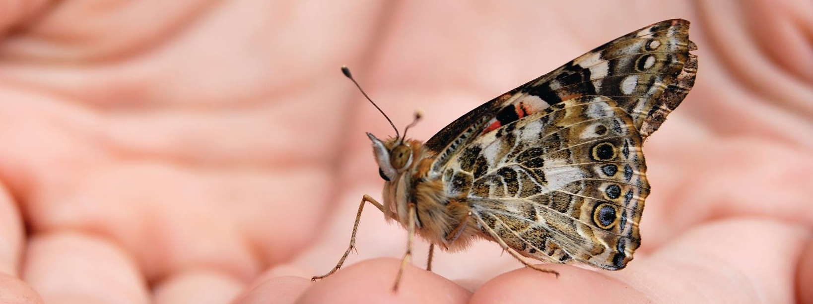 Celebrate Planet Earth