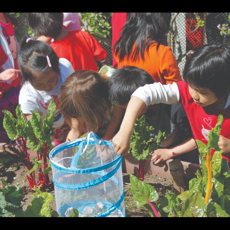 Photo 1 from Celebrate Planet Earth