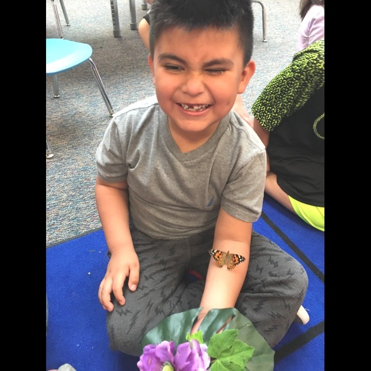 Photo 7 from Celebrate Planet Earth