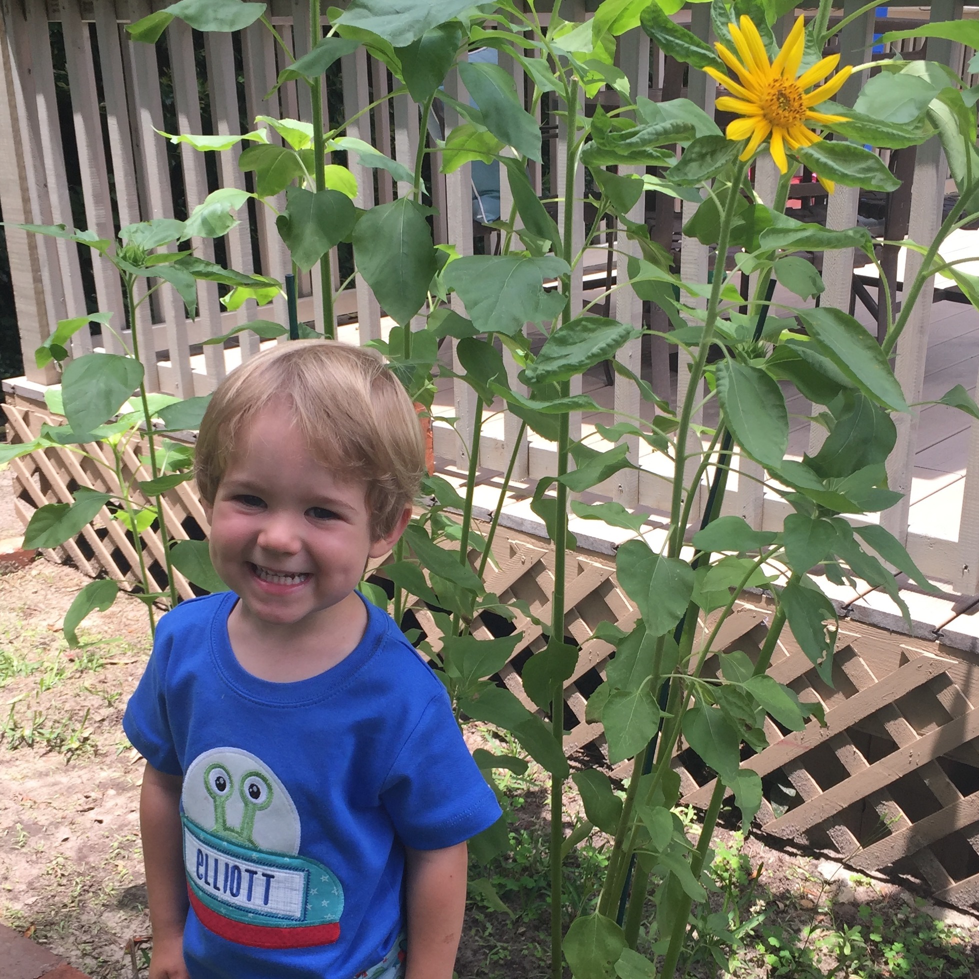 Photo 9 from Celebrate Planet Earth