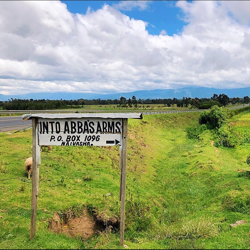 Photo 1 from Into Abba's Arms