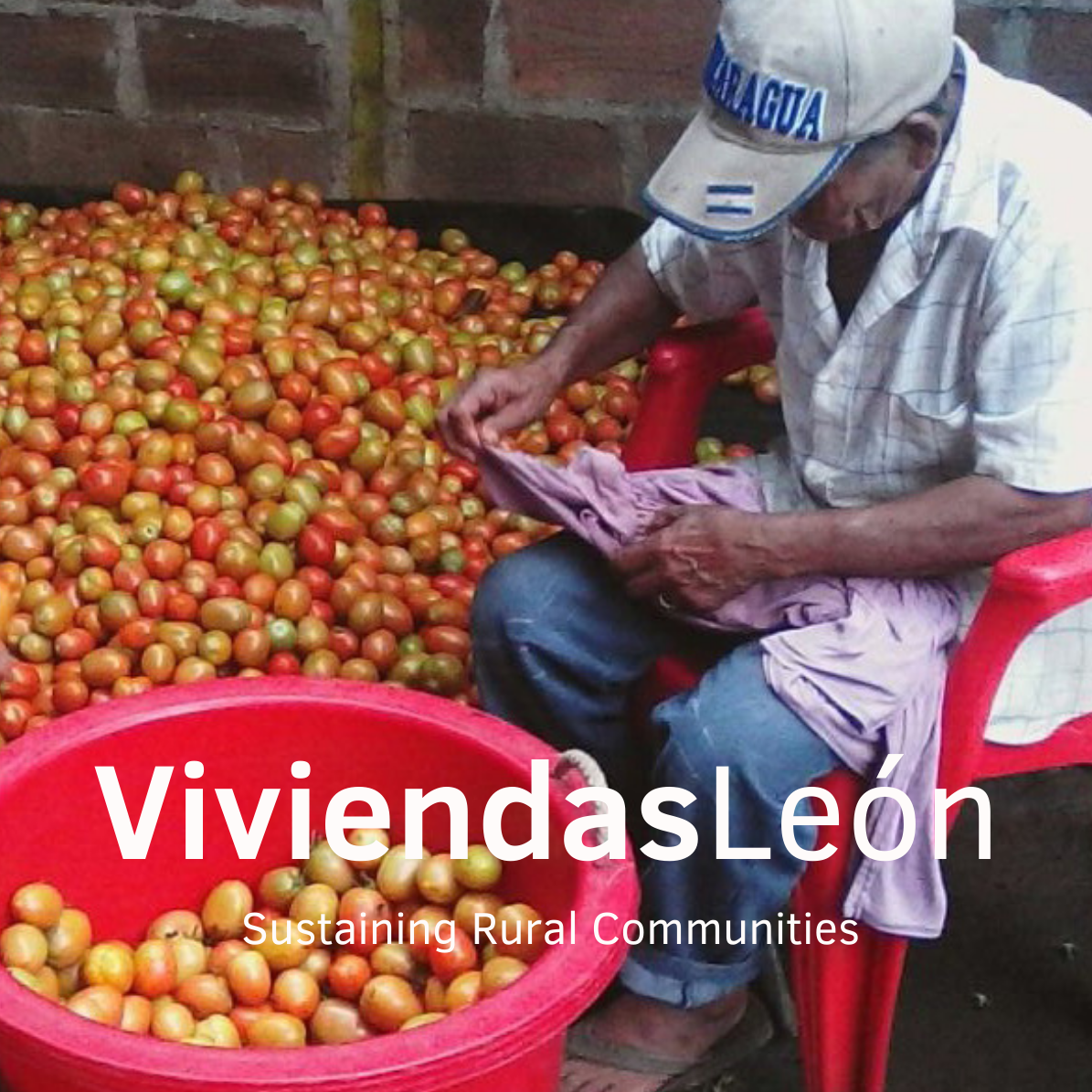 VIVIENDASLEON