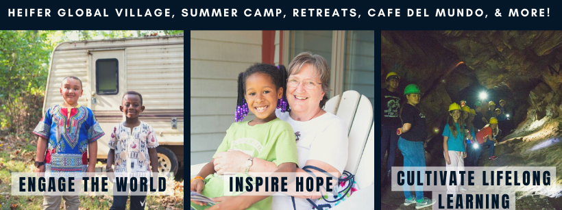 SHEPHERDS SPRING INC