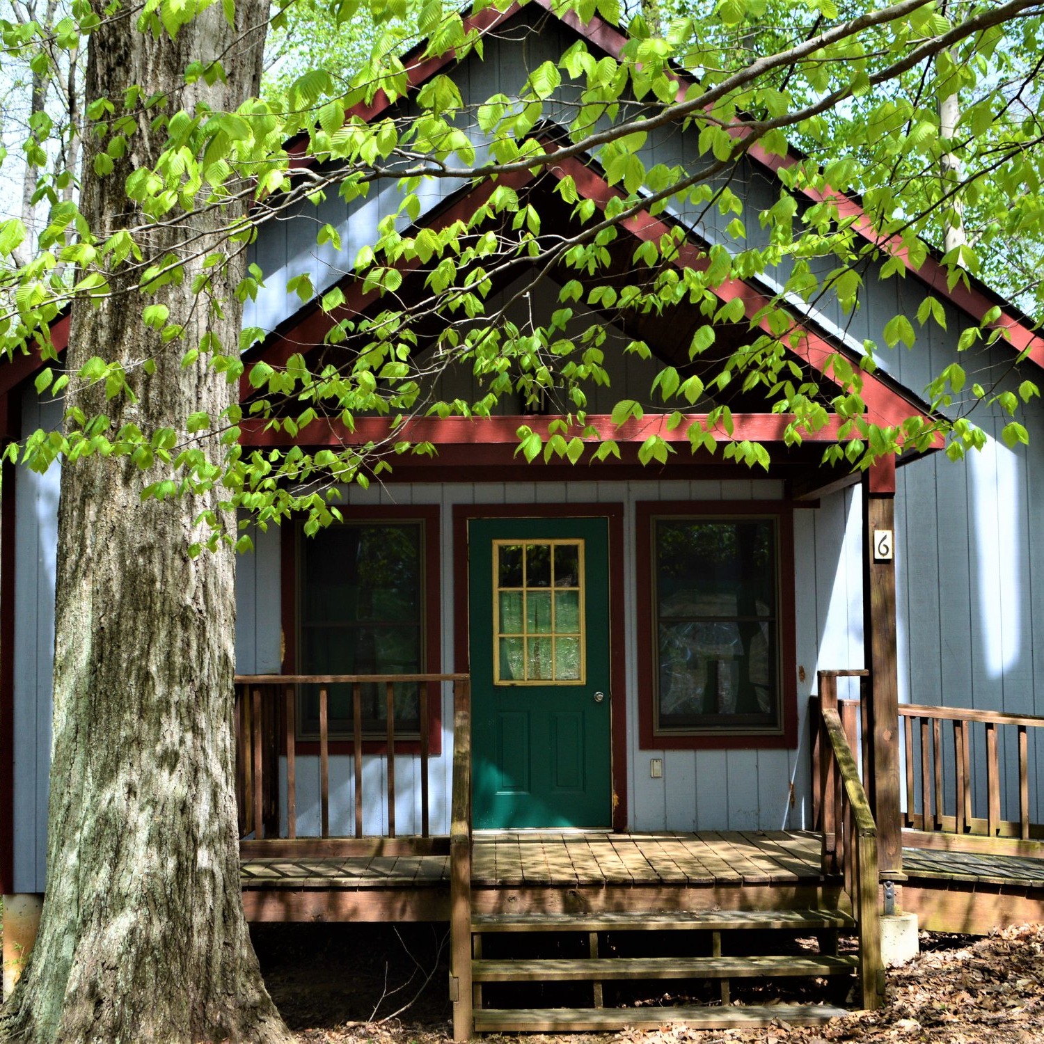 Photo 1 from SHEPHERDS SPRING INC