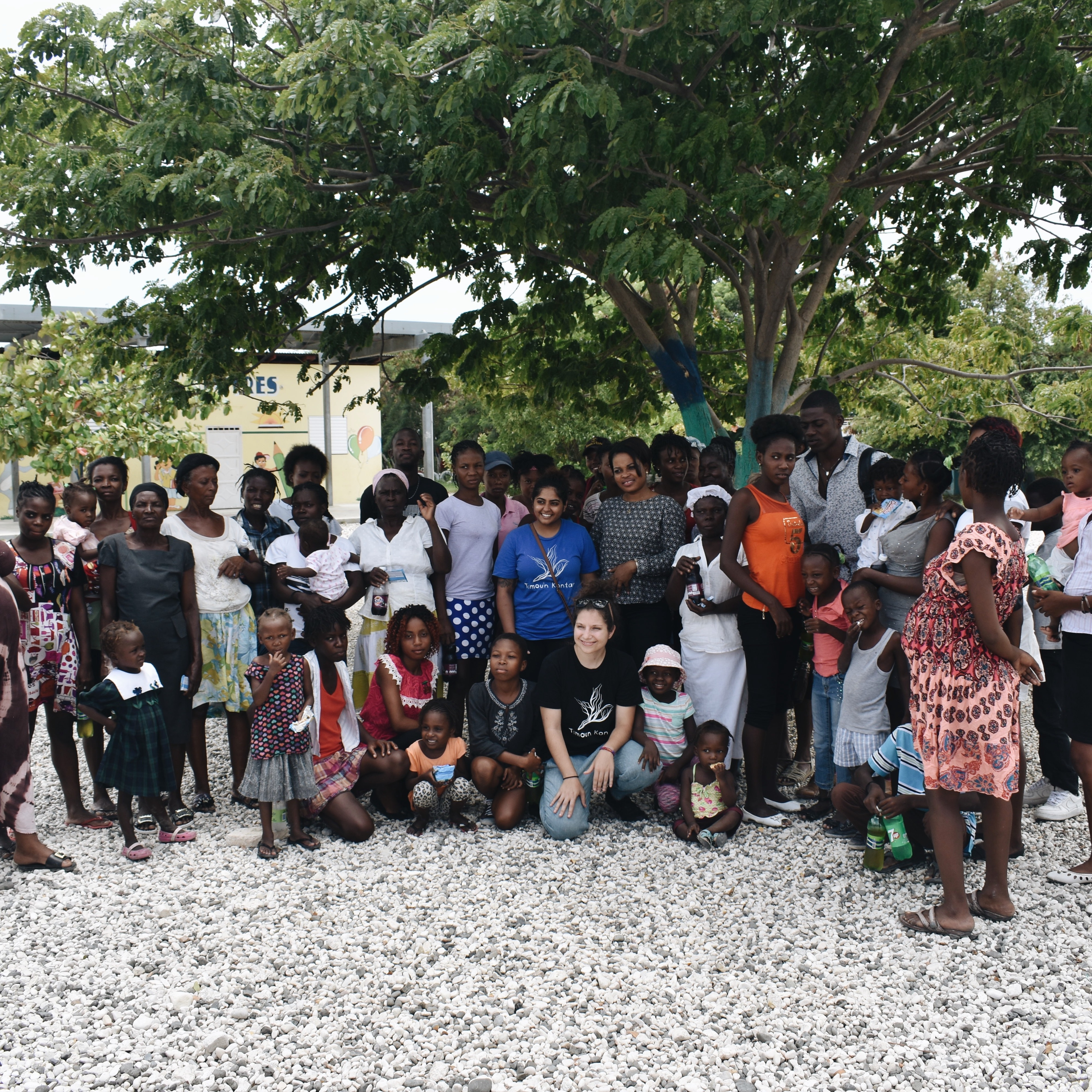 Photo 4 from From Roots to Wings