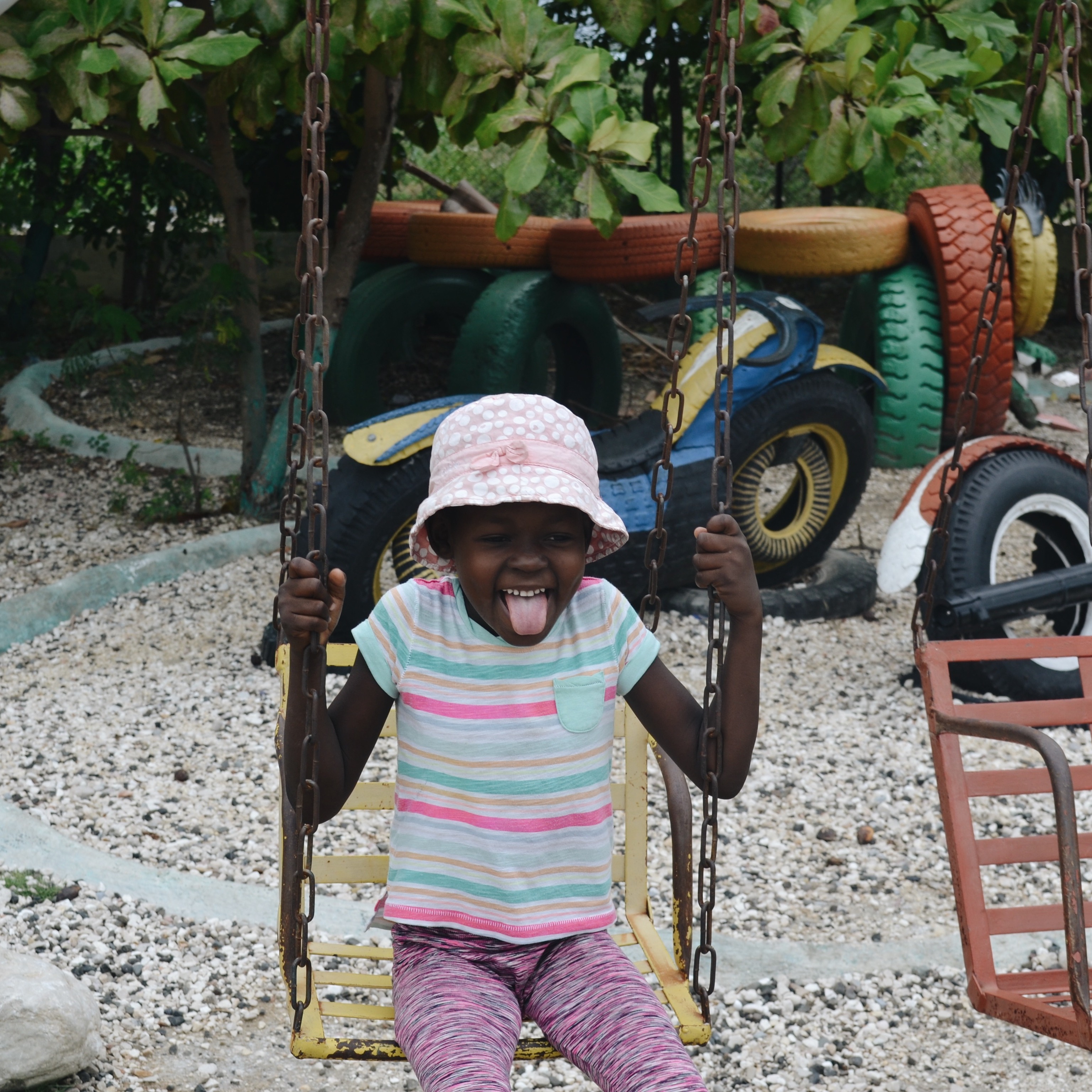 Photo 5 from From Roots to Wings