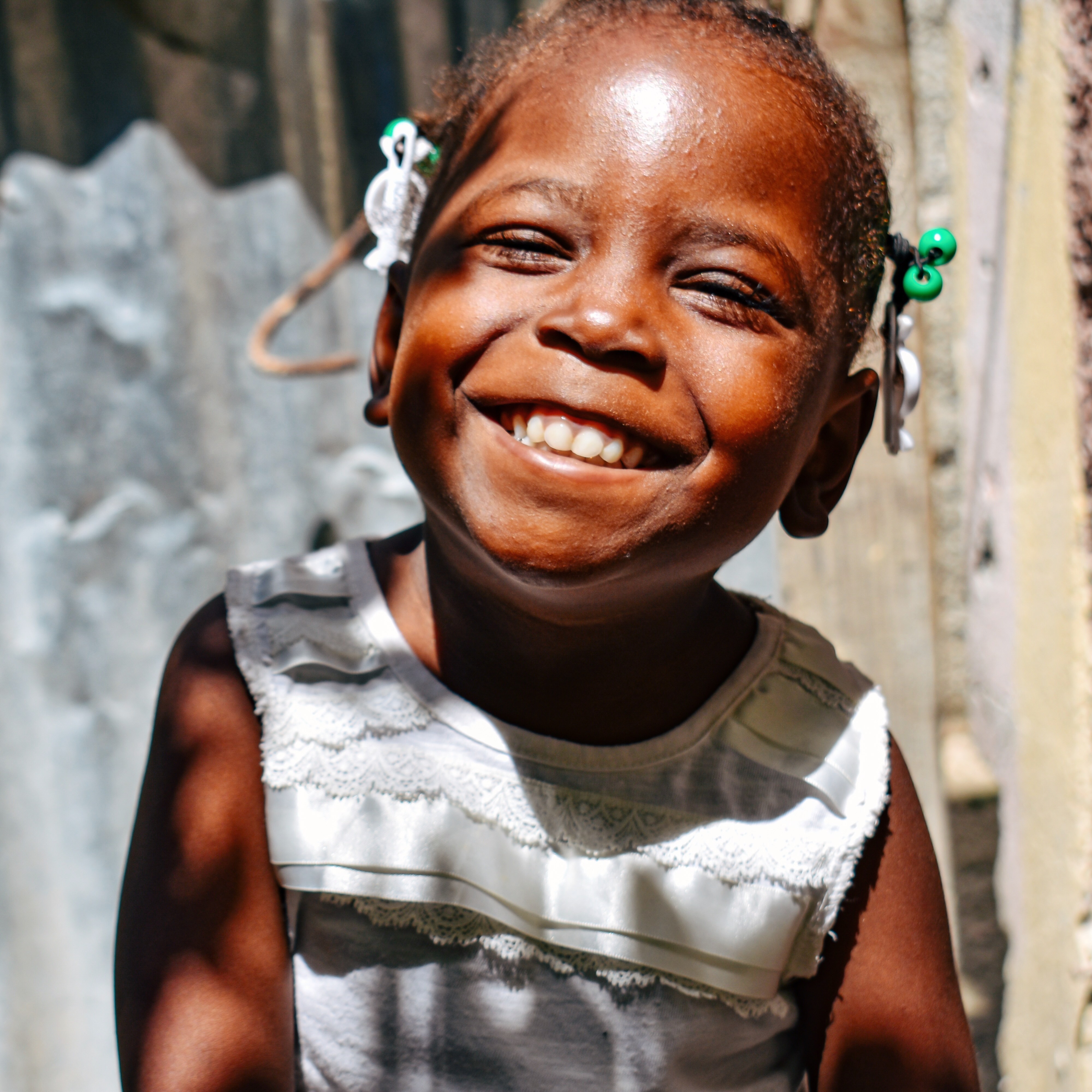 Photo 9 from From Roots to Wings