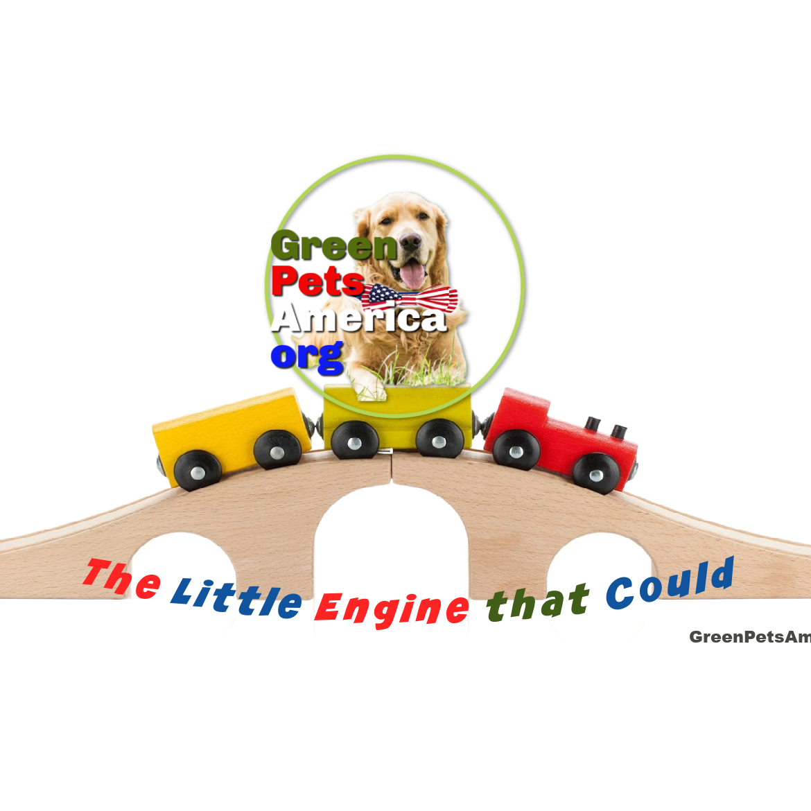 Photo 1 from Green Pets America Charities: Operating as AHIMSA HUMANE SOCIETY