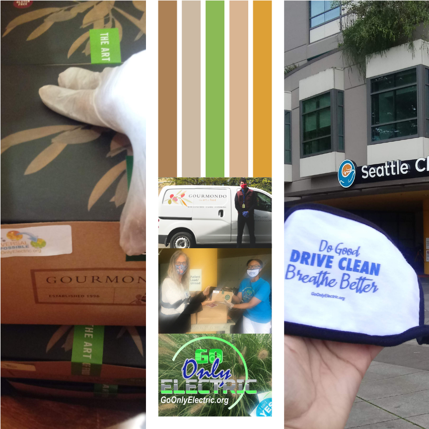 Photo 8 from Go Only Electric