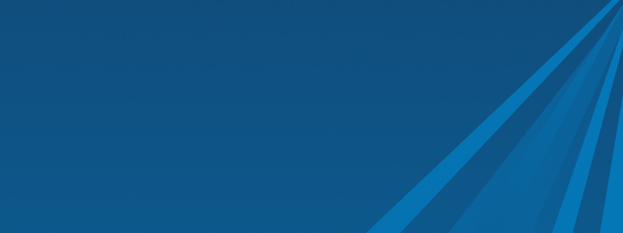 Debt Reduction Services Inc.