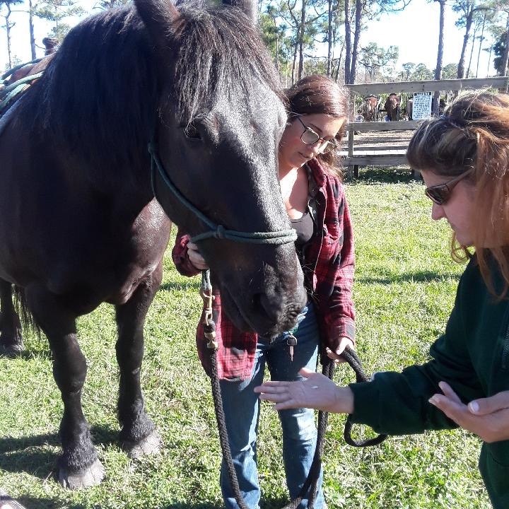 Photo 3 from ARC of Martin County, Inc.