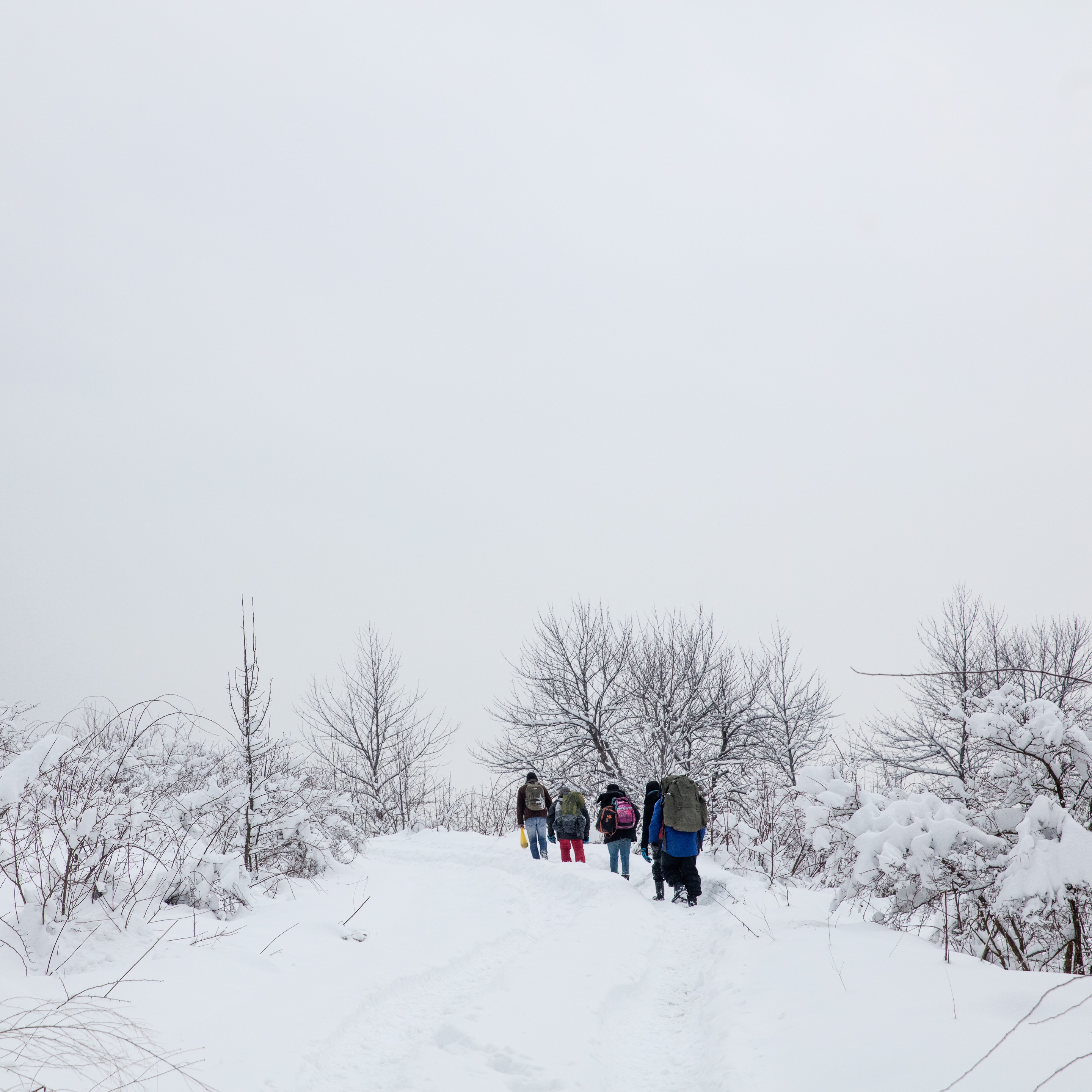 Photo 4 from Ethnovision