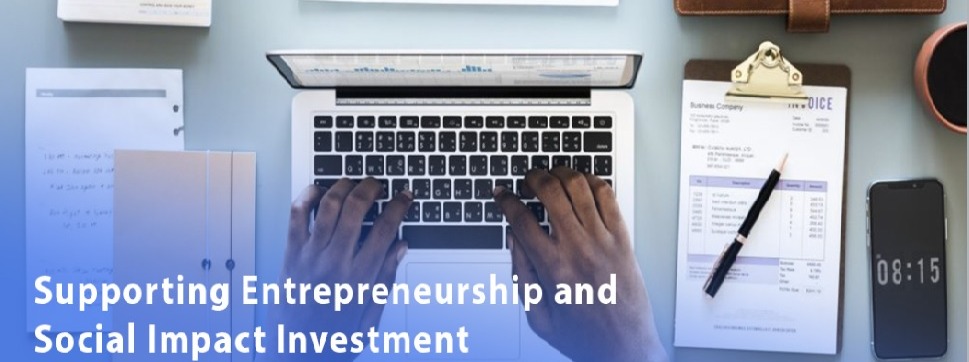 Association of African Entrepreneurs - USA, Inc.