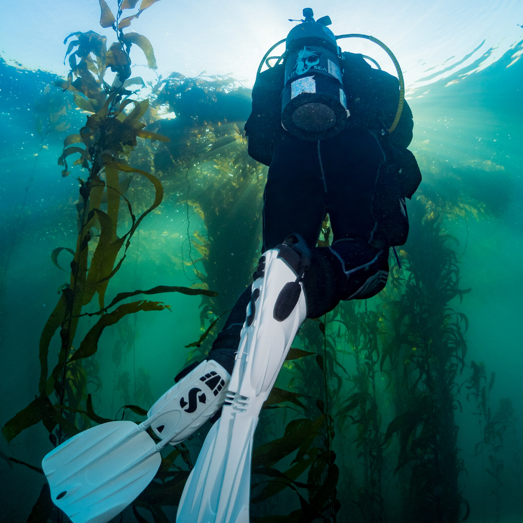 Photo 2 from NATIONAL MARINE SANCTUARY FOUNDATION