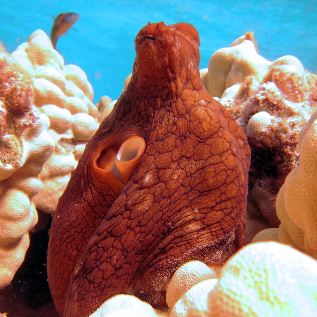 Photo 5 from NATIONAL MARINE SANCTUARY FOUNDATION