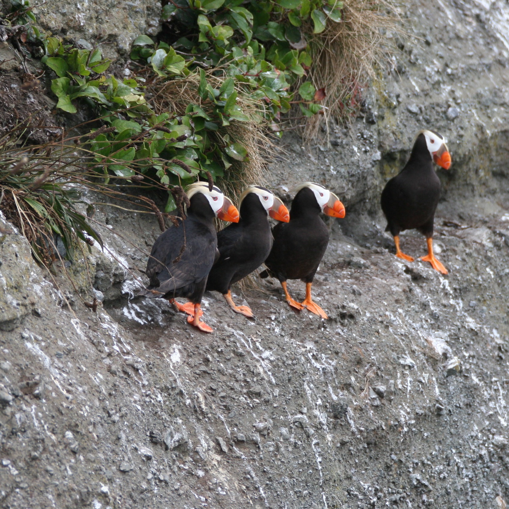 Photo 7 from NATIONAL MARINE SANCTUARY FOUNDATION