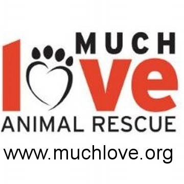 Much Love Animal Rescue