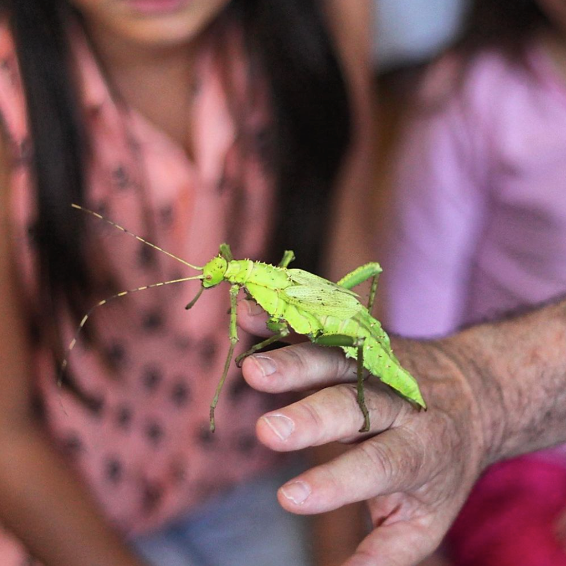 Photo 1 from SaveNature.Org