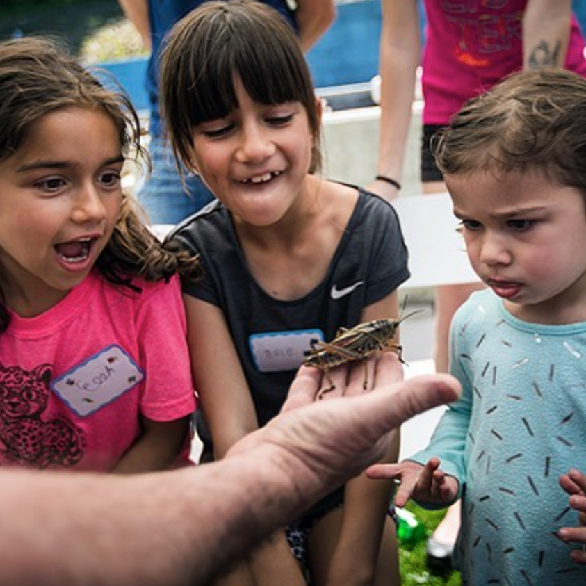 Photo 4 from SaveNature.Org